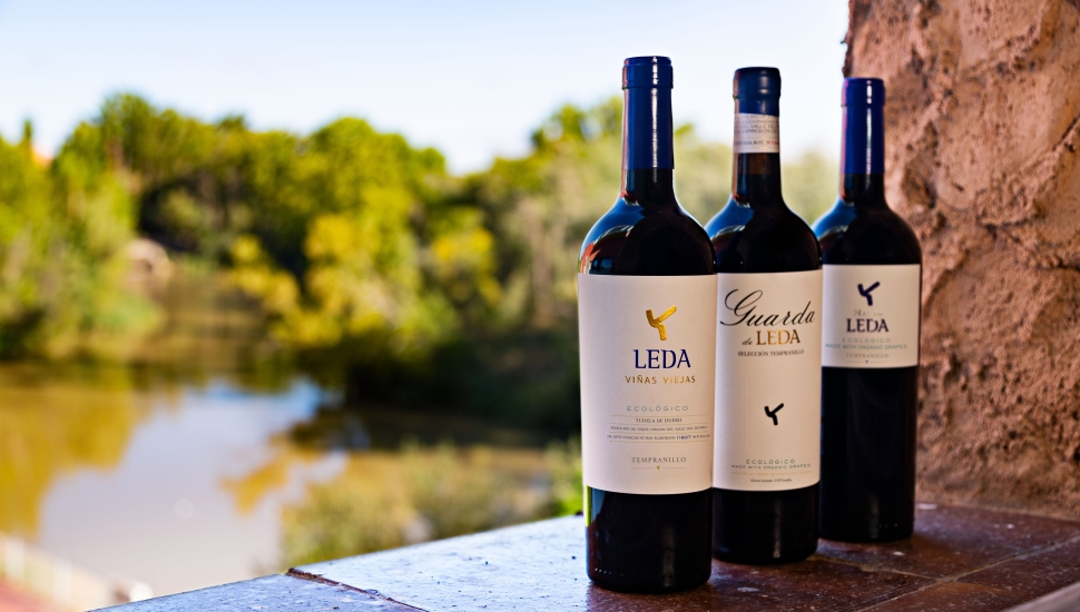 Bodegas Leda abre, por primera vez, sus puertas al enoturismo