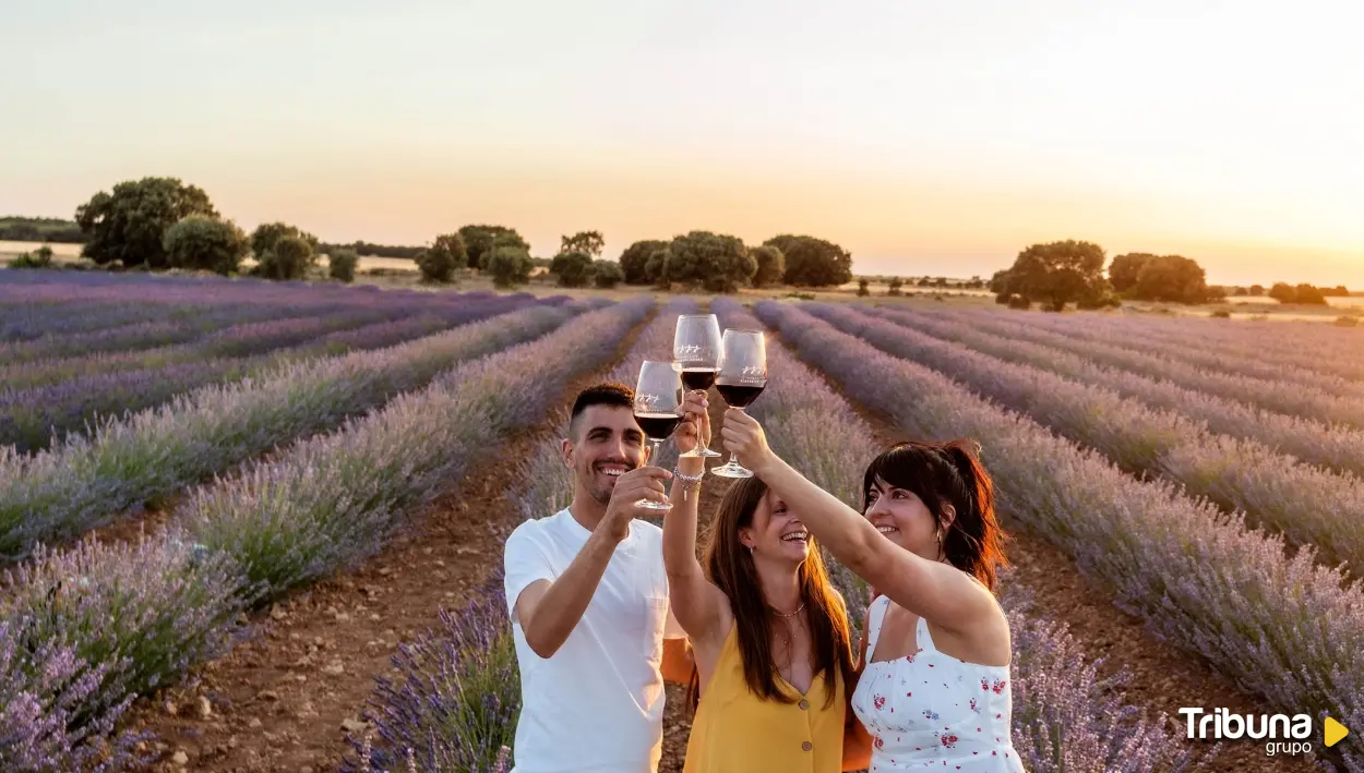 Singularidad y sabor en la Ruta del vino Ribera del Duero