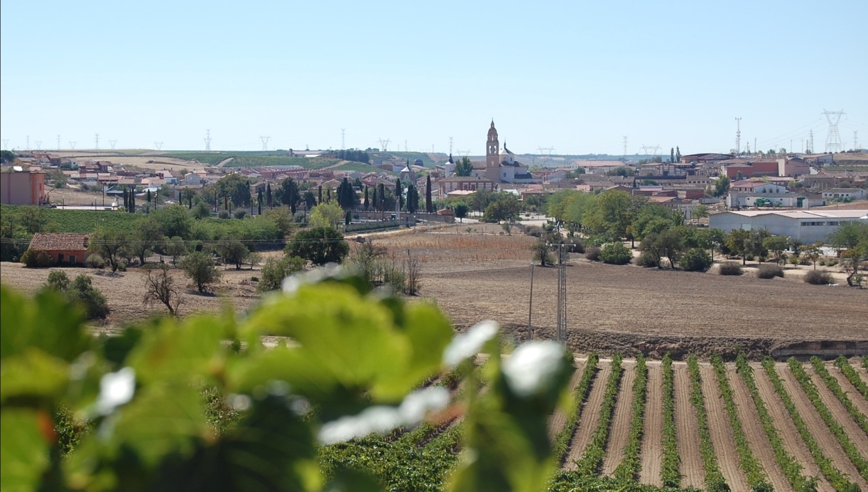 El Día Vino D.O. 2026 reivindicará el enoturismo como fuente de riqueza en las zonas rurales